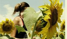 农历二月事业,感情运势2013年3月5日—4月3日