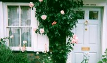 凰洛-枂2017年5月金牛座运势