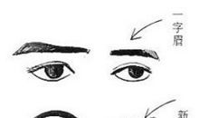 女人一字眉面相好吗