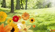 巨蟹座今日运势2012年5月27日