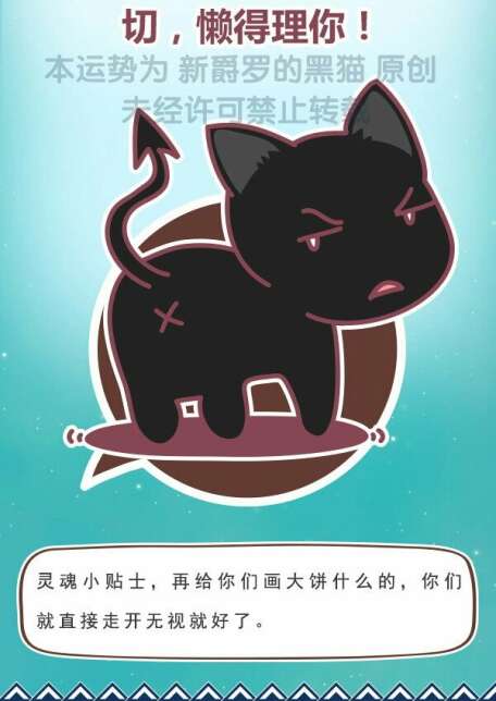 猫石对话每日财富2016年6月29日