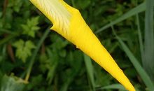 八字起名：2017年5月5日出生的宝宝