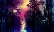 海百合今日运势2018年3月5日