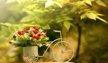 白羊座今日运势2012年5月11日