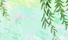 2015年生肖猴逐年运势