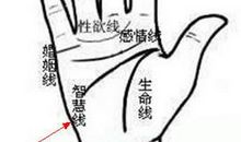 手相智慧线看未来发展