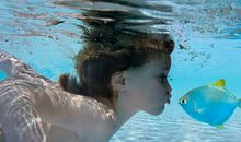 闹闹女巫店今日运势2018年2月26日