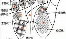 啥手相的人滥用感情