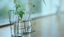 闹闹女巫店今日运势2018年2月15日