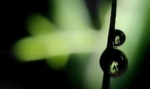 对爱情忠诚的5大手相