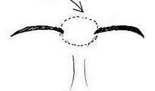 面相中的气是咋回事