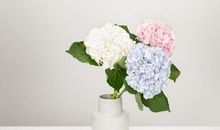 闹闹女巫店今日运势2019年11月2日