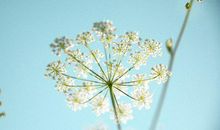 狂月今日运势2019年11月1日