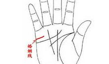 六种手相的人婚后会变富有