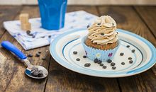 属蛇天蝎座2021年运势