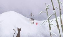 小雪吃什么蔬菜 功效和作用是哪些