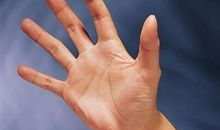 啥样手相对婚姻始终如一