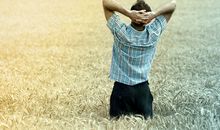 2019己亥年哪些人容易有灾难？