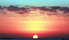 命理解你的财运密码