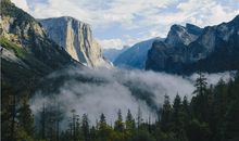 属虎人的事业发展