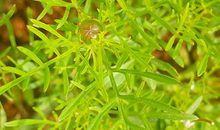 哪些八字会注定婚姻不顺？