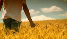 十大家居风水导致夫妻不合，家庭不睦