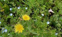 看懂这个，明白谁才是你生命中的贵人？