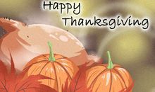 感恩节美食 为什么要吃火鸡