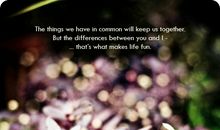 猫石对话每日运势2015年6月3日