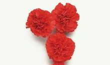 生命灵数看出你流年的破财指数