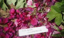 双子座今日运势2012年6月12日