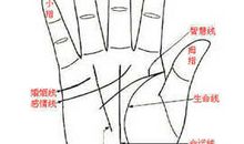 哪些手相的人一生财运亨通?