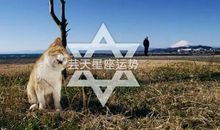 狂月每日运势2015年6月4日