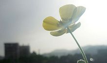 八字起名：2017年4月28日出生的宝宝