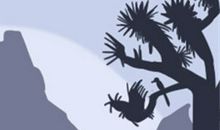 原来属猴人都喜欢这种姿势