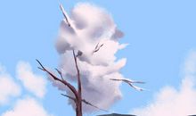 霜降饮食 食补 适合吃什么