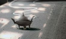 属猴男想太多，总觉得有人在针对他