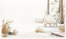 双鱼座今日运势2015年6月9日