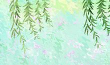 不仅仅是调味品 青椒的功效与作用