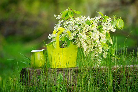 谁是出生月份最注定的领导者