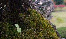 了解命运定数和变数人生会更顺