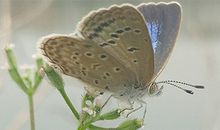 晚婚能化解婚姻不顺之灾吗？