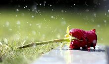 蒂姆一周巨蟹座运势（9.16-9.22）