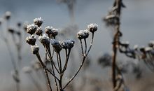 【塔罗运势】诡魅塔罗12星座2月16日运势