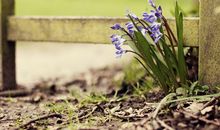 蒂姆一周天秤座运势（9.16-9.22）