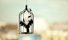 蒂姆一周金牛座运势（9.16-9.22）