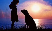 金爱伦2016年7月双鱼座运势