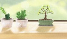 女人多吃什么抗衰老