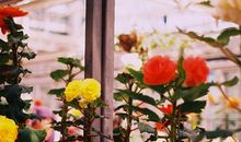 金爱伦2016年7月射手座运势