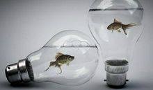 A微日记2017年4月处女座运势